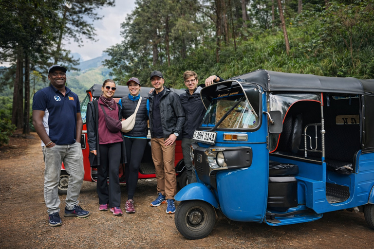 Ambewela to Kandy Tuk-Tuk Transfer via Nuwara Eliya