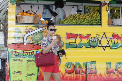 St. Maarten: Twin City Shopping Tour