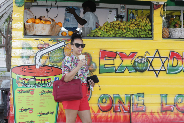St. Maarten: Twin City Shopping Tour