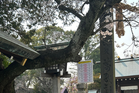 Yokohama: Japansk nagel- och hårstyling, sminkning, kimonouthyrningJapansk nagel