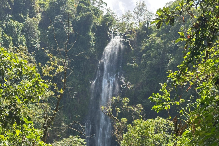 Moshi/Arusha: Chemka Hot Springs Materuni Waterfall Day tour 2 in 1 : Materuni & Chemka tour from Moshi