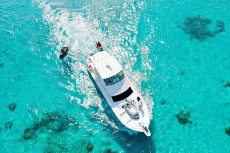 Punta Cana: Saona Island Paradise Catamaran Sightseeing Tour with Lunch and Drinks Punta Cana: Macao Beach and Local Dominican Experience