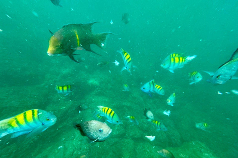 San José: Isla Tortuga Day Trip with Snorkeling & Lunch