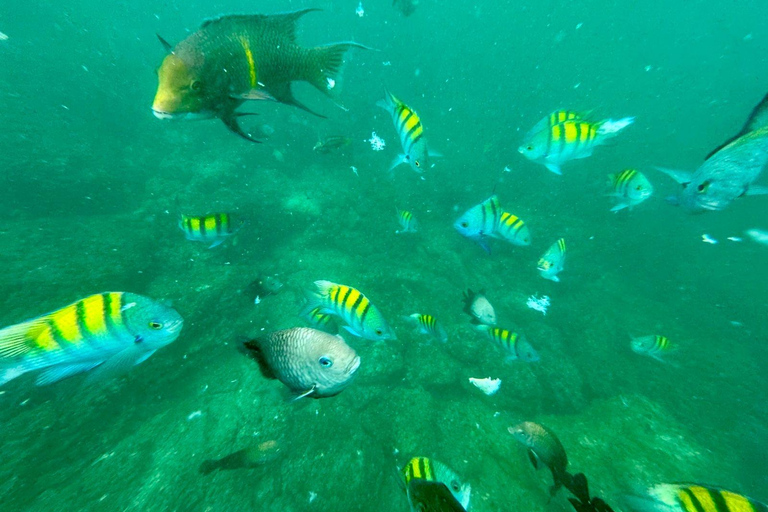 San José: Isla Tortuga Day Trip with Snorkeling & Lunch