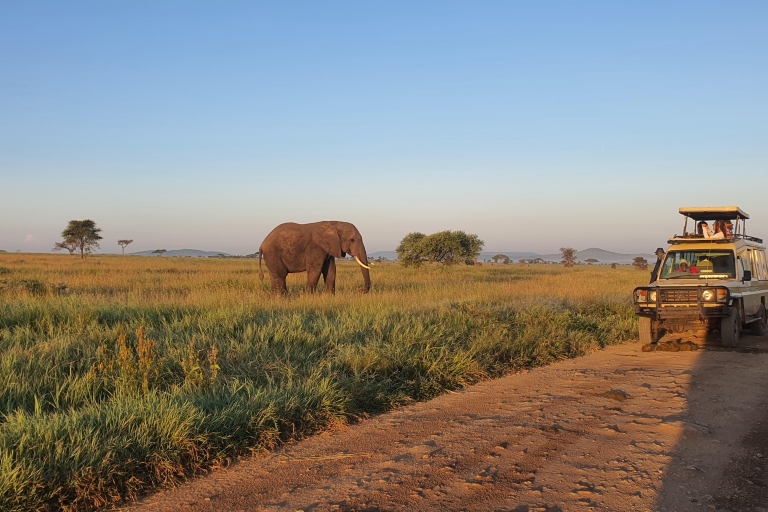 Tanzania: 4-dniowa luksusowa wycieczka safari z zakwaterowaniem