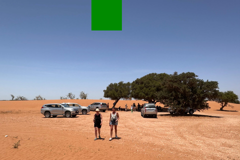 Agadir: Mini Sahara 4x4 Jeep Safari with Berber Lunch PICK UP FROM AGADIR