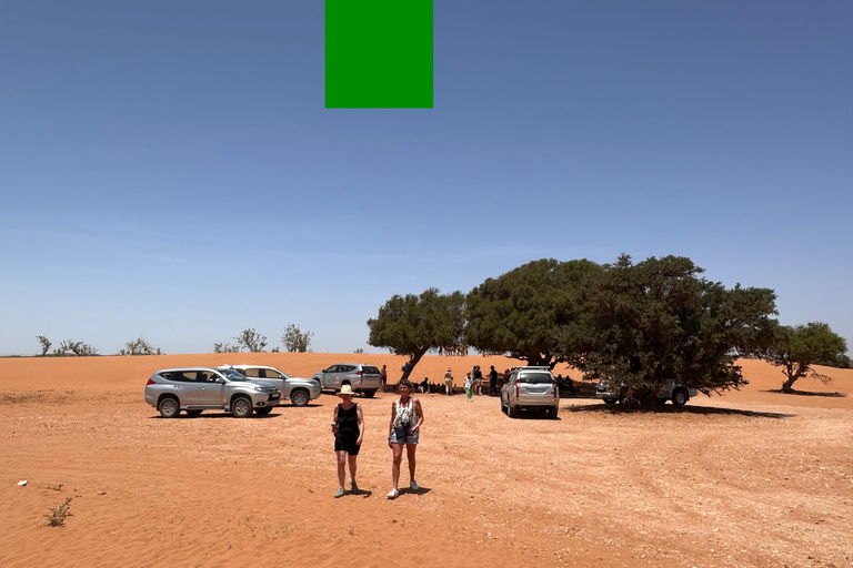 Agadir: Mini Sahara 4x4 Jeep Safari with Berber Lunch PICK UP FROM AGADIR