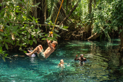 Arusha stad, Chemka HotSpring, Materuni vattenfall, kaffetur