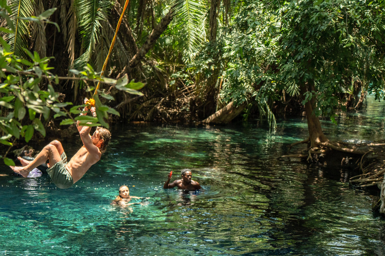 Arusha stad, Chemka HotSpring, Materuni waterval, koffietour