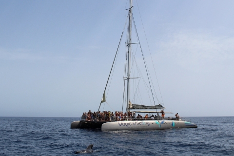 Fuerteventura: Magic Select Catamaran TripCrucero de un día con recogida