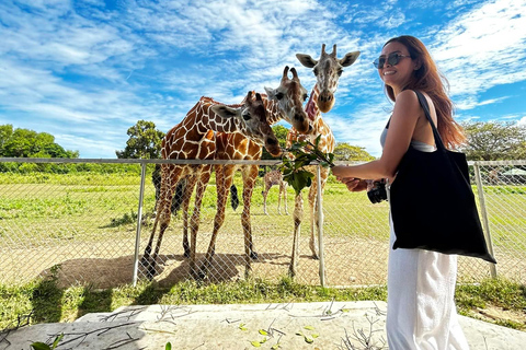 Coron: Calauit Safari Adventure