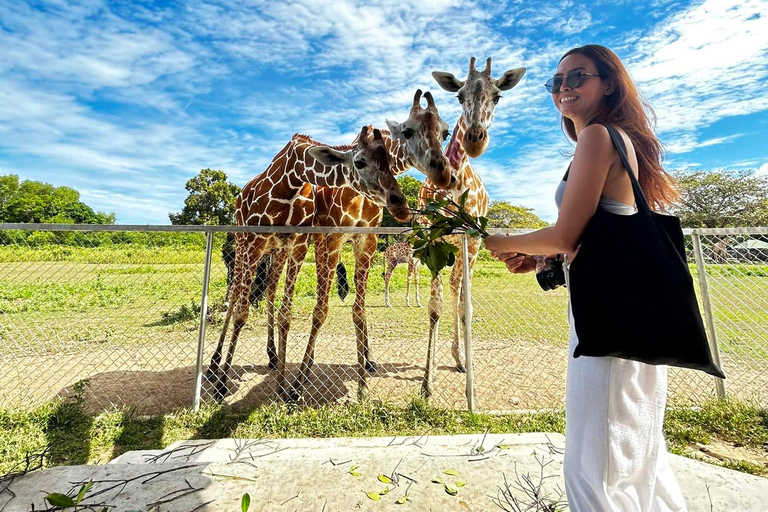 Coron: Calauit Safari Adventure