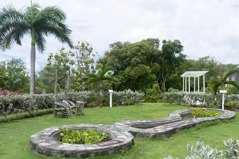 Basseterre Plantation Halvdagsutflykt