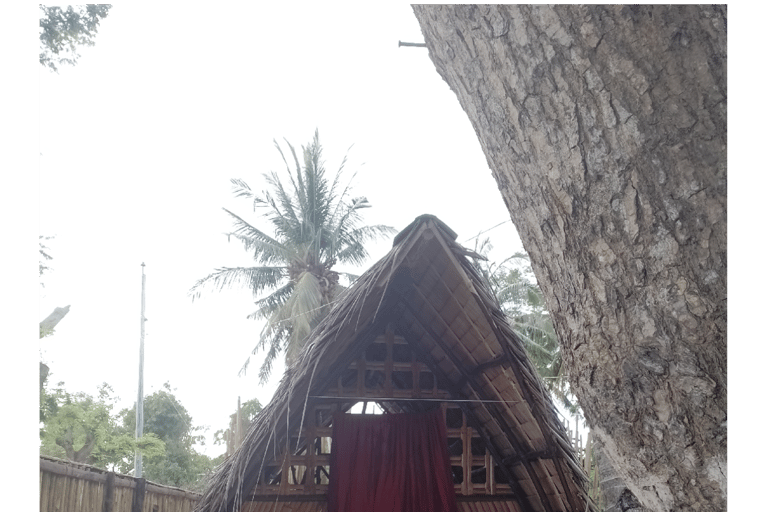 El Nido: Best Private A+B Island-Hopping Tour with Lunch