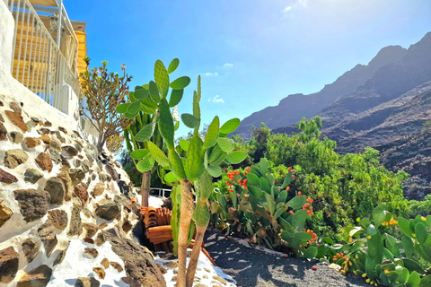 Grande Canarie : dégustation de vins et de tapas espagnols à Mogan