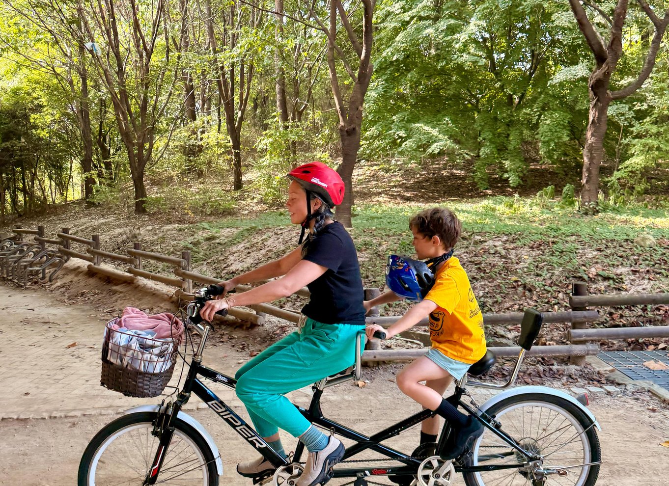 Seoul: Cykeltur i den urbane natur langs Han-floden