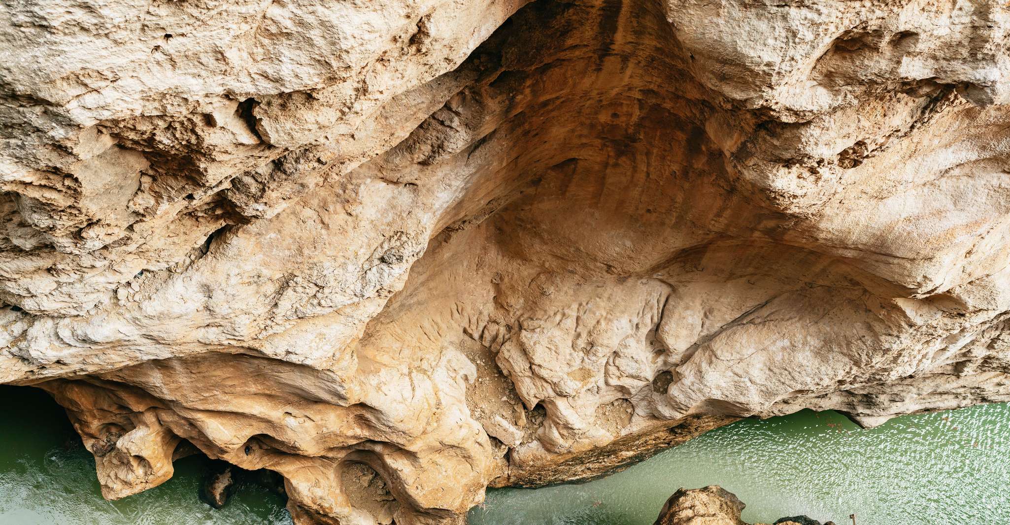 エルチョロ、シャトルバスとのキングガイドツアー - Housity