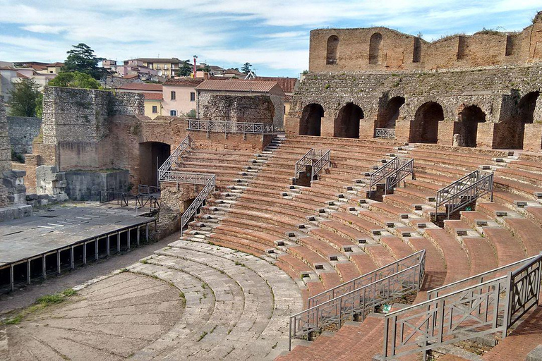 Day tour Visit the top attractions of Alexandria City