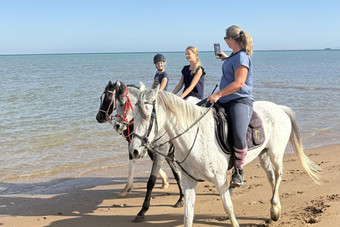 Hurghada: Horse Riding in the Desert & Beach Experience 1 HR Desert Horse Riding Experience without transfer