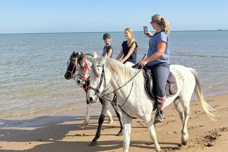 Hurghada: Horse Riding in the Desert & Beach Experience 1 HR Desert Horse Riding Experience without transfer