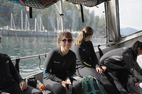 Snorkel Focas Remando Vida Salvaje Tour en barco en Vancouver