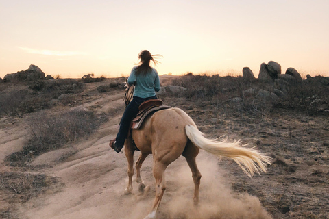 Accra: Sunset Horse Ride Along Peaceful Coastal Paths
