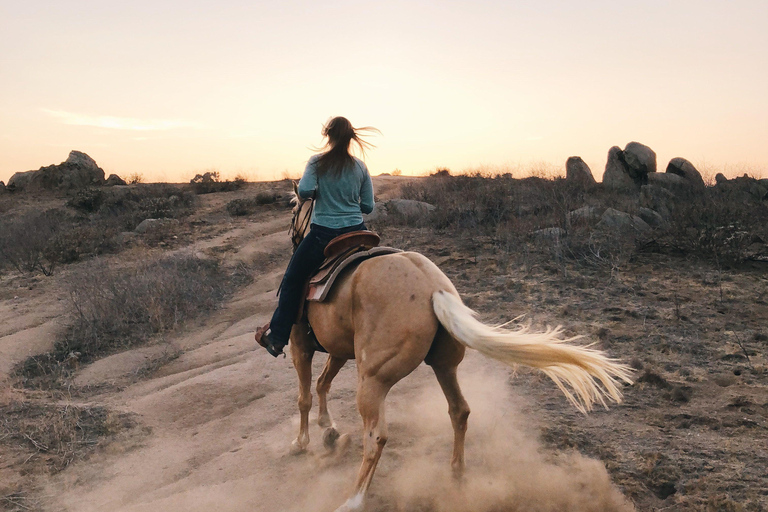 Accra: Sunset Horse Ride Along Peaceful Coastal Paths