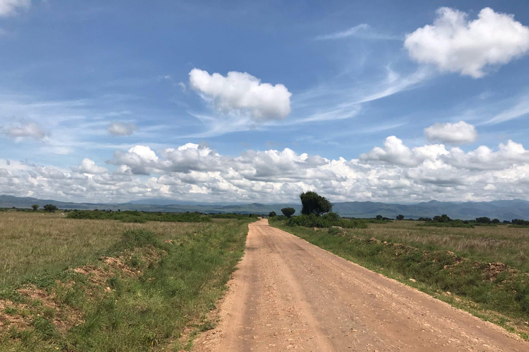 4 Days Murchison Falls National Park and Kampala city tour
