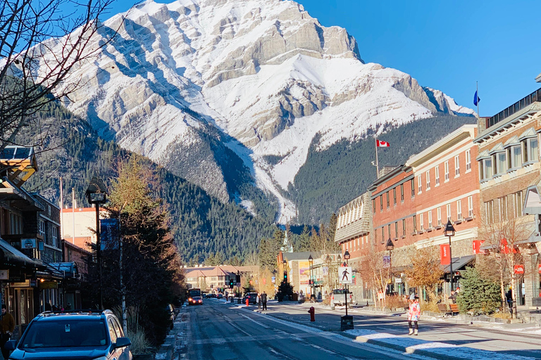 Explora Banff y más con conductor/guía privado con licencia