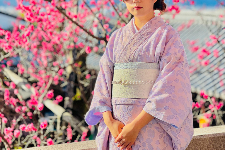 Kyoto Full-Day Customizable Private Tour with English Guide Luxury Toyota Land Cruiser Prado