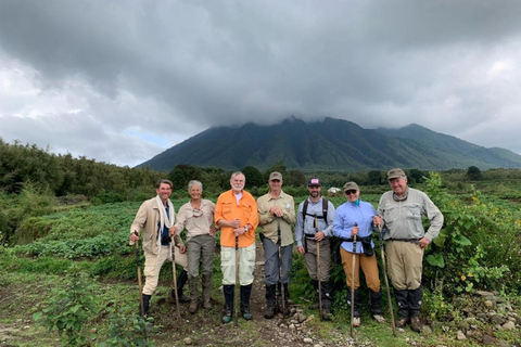 1 Day gorilla trekking safari tour, volcanoes national park.