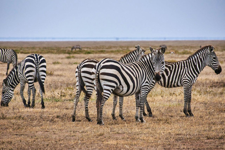 Nairobi: Lake Nakuru National Park and Lake Naivasha Tour