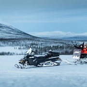 Abisko: Tour durch die arktische Natur mit Wildtierbeobachtung