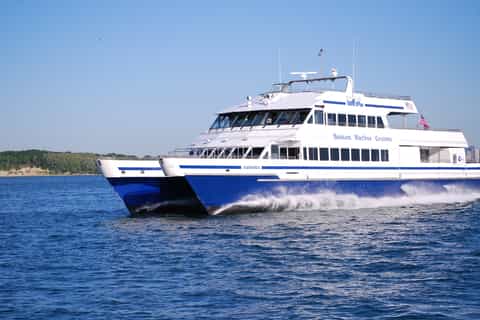 Boston: Whale Watching Catamaran Cruise