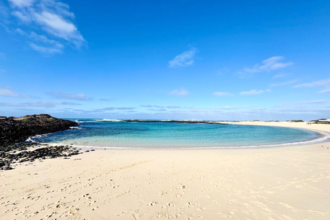 Fuerteventura: El Cotillo, Popcorn Beach & Corralejo Tour
