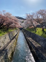 Kamakura Full Day Historic / Culture Tour - Housity