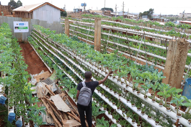 Nairobi: Urban Farming and Eco-Innovation Tour with Pickup