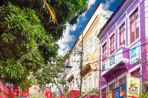 Private Rio de Janeiro: Transfer + Custom or Pre-Defined Itinerary Private Rio Eco Tour: Transfer + Custom or Predefined Itinerary