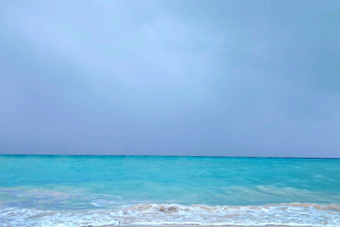 Kota Kinabalu: 4-Day Tour, Nature, River and City