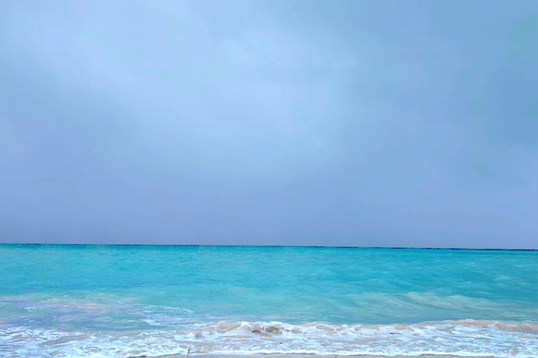 Kota Kinabalu: 4-Day Tour, Nature, River and City