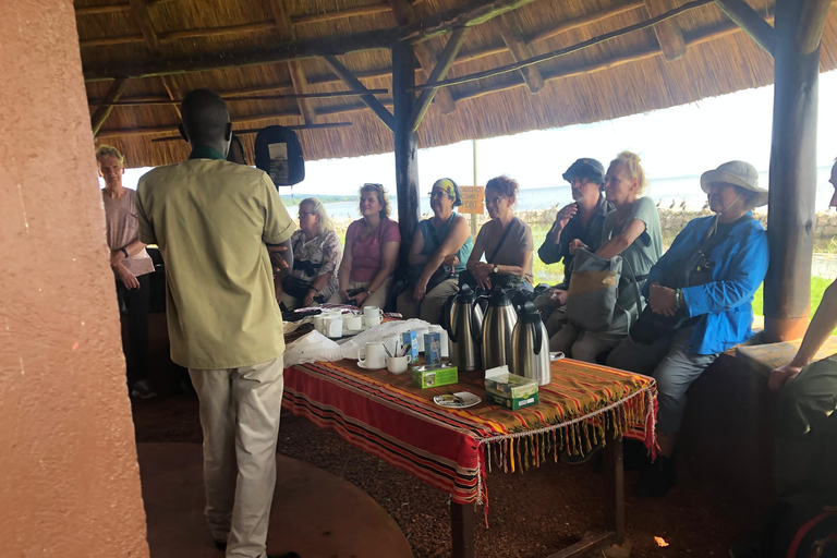 Kampala/Entebbe: Ngamba Island Chimps Sanctuary Tour