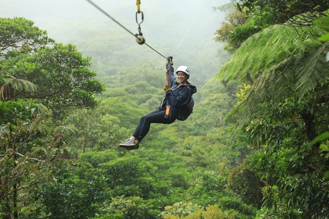 Selvatura Gold Experience