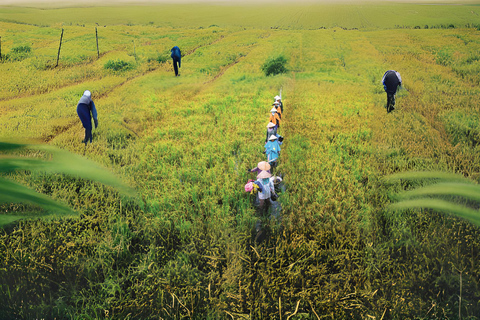 Hoi An: Farming and Fishing Tour with Basket Boat Ride