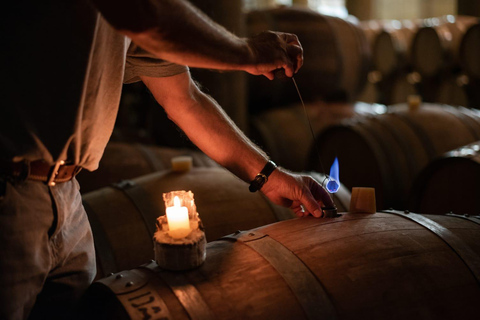 Viña Haras de Pirque Wine Experience