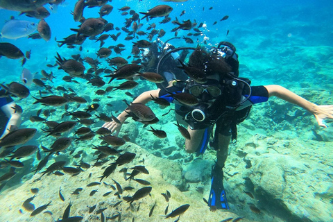 Fethiye: Full-Day Scuba Diving Adventure with Lunch