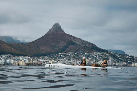 Cape Town: Dolphin & Ocean Wildlife Kayaking Adventure ⚓️