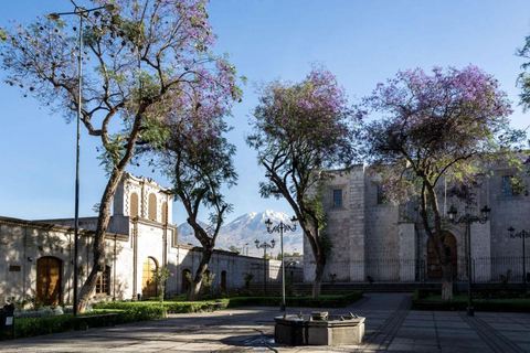 Arequipa: Walking City Tour & Santa Catalina