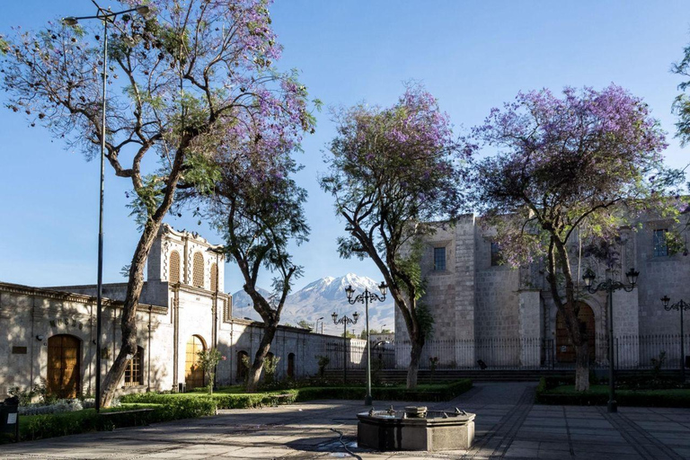 Arequipa: Walking City Tour & Santa Catalina