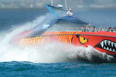 Boston Harbor Codzilla High Speed Thrill Boat