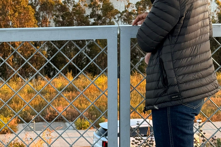 Day to Night Photo Tour of San Francisco San Francisco Day to Night Photo Tour